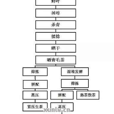 订书针加工过程详解，从原材料到成品